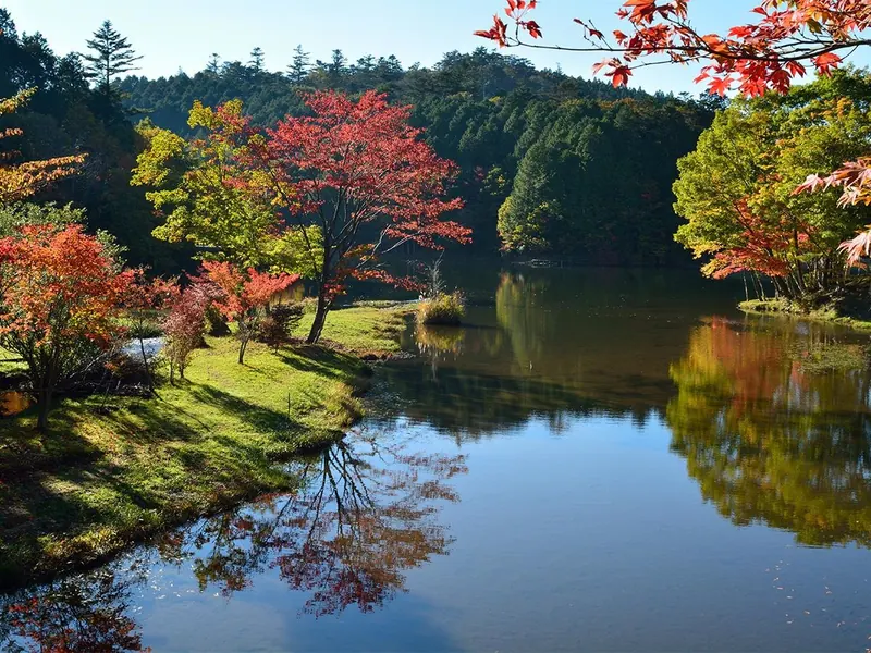 きららの森の水辺の紅葉